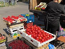 В ходе рейда по незаконной торговле в Центральном округе Курска составили восемь протоколов