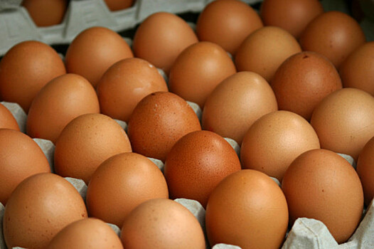 В Европе обнаружили миллионы ядовитых яиц
