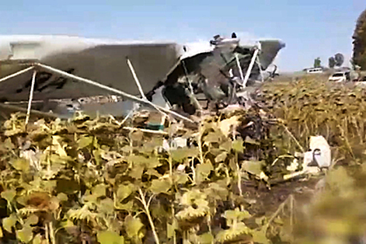 В российском регионе при падении легкомоторного самолета погибли три человека