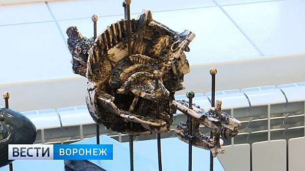 Индустриальное влияние. Почему липецкие художники так отличаются от воронежских?