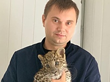Дело замминистра экологии Южного Урала связали с фондом "Моя планета". Комментарий организации