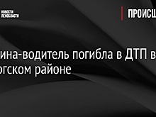 Женщина-водитель погибла в ДТП в Выборгском районе