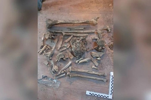 Семья из Бурятии обнаружила жуткую находку во время ремонта