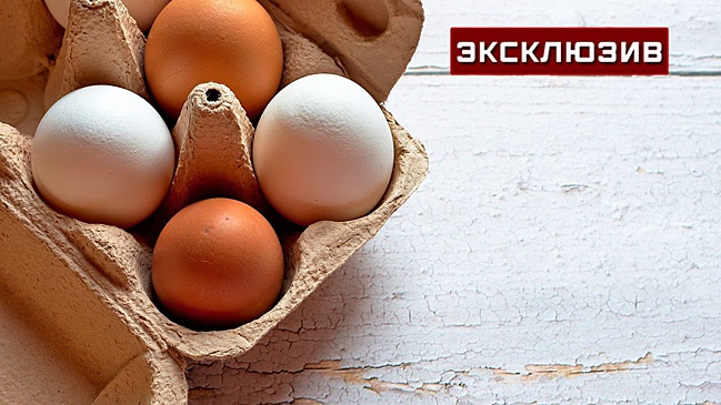 Эксперт объяснил, почему не стоит мыть яйца сразу после покупки