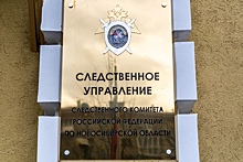 Глава СК Бастрыкин поручил проверить компанию «Вертикаль НСК» на предмет нарушения прав дольщиков
