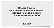 Власти Грузии прокомментировали данные о передаче американских «Джавелинов» России