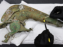 Найден старинный боевой рог, наводивший ужас на врагов