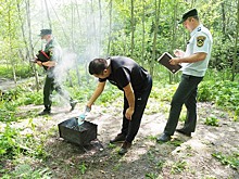 Полиция разогнала всех шашлычников в Долине реки Сходни в Куркине