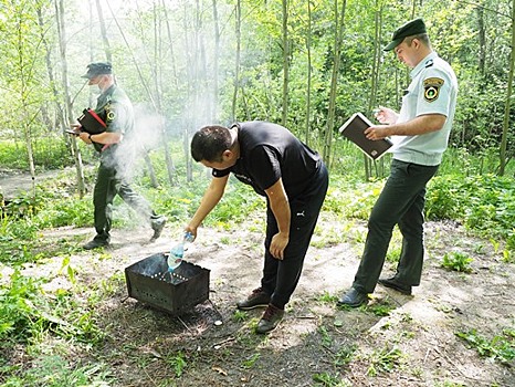 Полиция разогнала всех шашлычников в Долине реки Сходни в Куркине