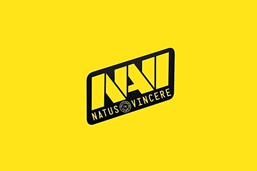 NAVI распустила российский состав по PUBG Mobile