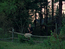 Отреставрированный фильм «Зеркало» Андрея Тарковского обсудят в Краснодаре