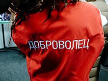 Бесплатный проезд и всероссийская студенческая стройка: чем запомнилась избирательная кампания в Госдуму