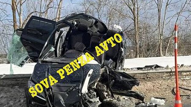 Соцсети: в ДТП в Городищенском районе погибла девочка