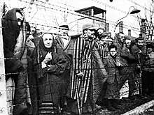 Дипломат Долгов: Польша не должна замалчивать подвиги советских воинов