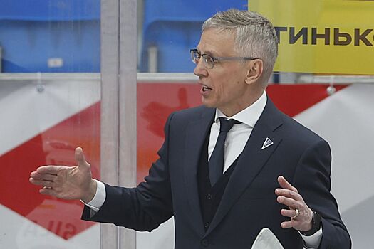 Ларионов: губернатор просит сыграть матч «Торпедо» с «Детройтом» в Нижнем Новгороде