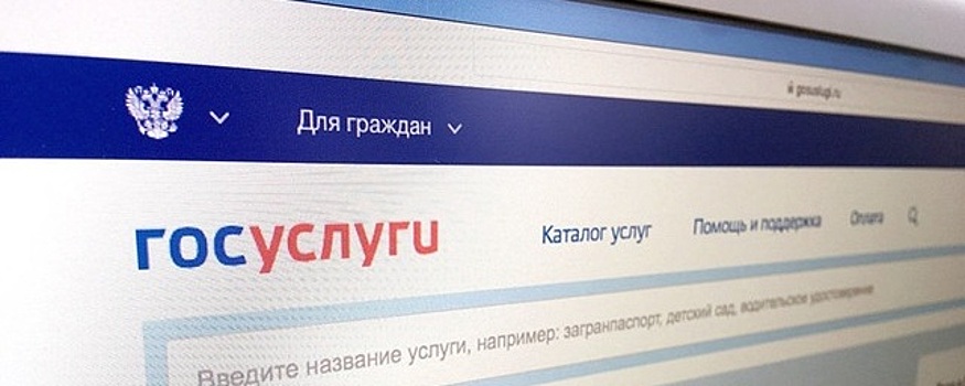 Стать добровольным участником СВО жителям Ростовской области можно оставив заявление на портале «Госуслуги»