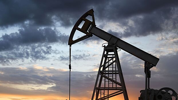 Набиуллина оценила риски для экономики РФ от снижения цен на нефть