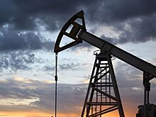 Набиуллина оценила риски для экономики РФ от снижения цен на нефть
