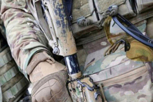 Российские войска уничтожили батальон «Азова»* в ДНР