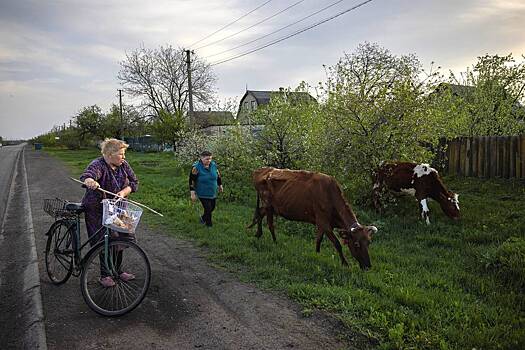 В России предложили меры для борьбы с курсом Киева на дерусификацию