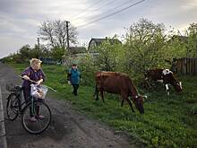 В России предложили меры для борьбы с курсом Киева на дерусификацию