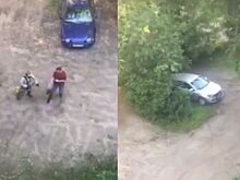 Костромич с газонокосилкой набросился на прохожего