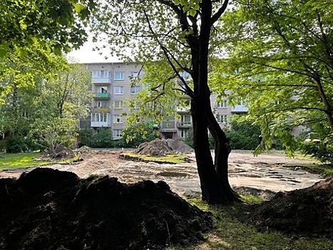 Клумба с пионами, грядки с огурцами или ещё один кусок асфальта: жители Свободной переругались из-за ремонта двора