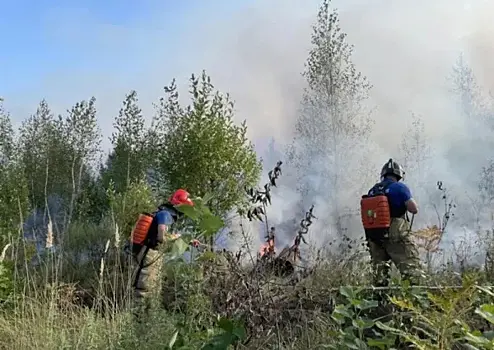 Калина рассказал, закроют ли въезд на Куршскую косу из-за запрета на посещение лесов