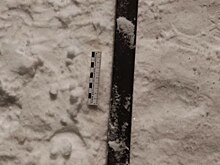 В Шарлыкском районе мужчина напал с топором на свою сожительницу