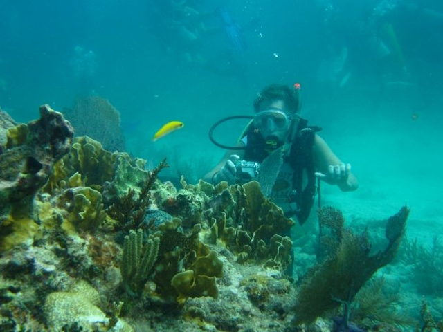 Центр дайвинга South Beach Dive and Surf Center, Майами, Соединенные Штаты
