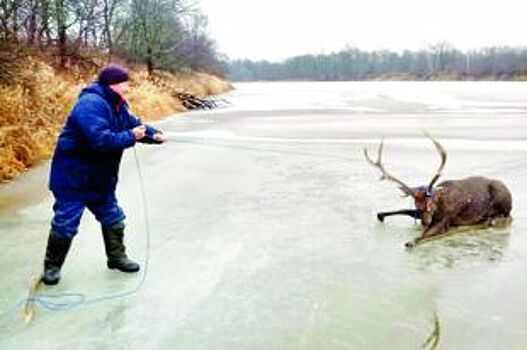 Герои года-2019. В огонь и в воду, чтобы помочь