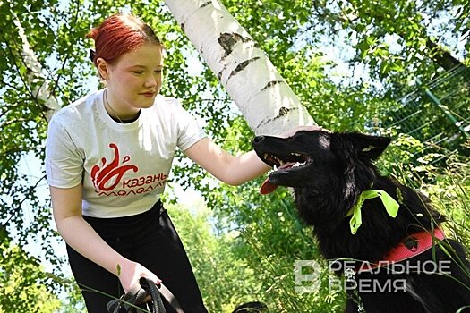 Догситтер и охранник в ЛДНР: кем планируют подработать казанцы этой осенью