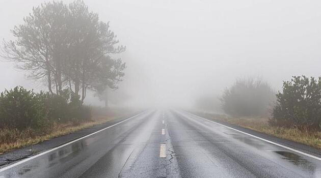 Госавтоинспекция предупредила о рисках езды в тумане