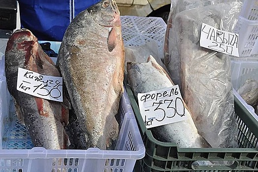 Совет Федерации рассмотрел вопрос доступности рыбной продукции