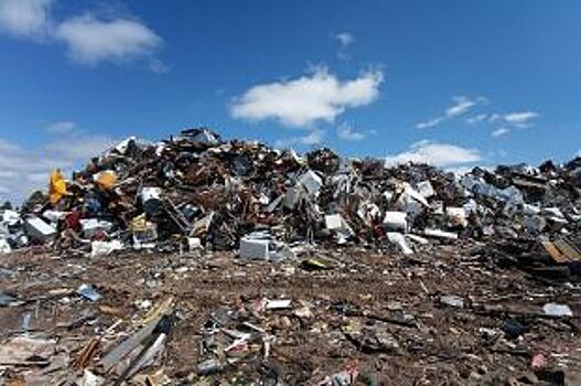 Опасность мусоросжигающего завода под Красноярском должны оценить экологи