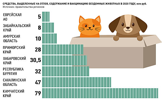 Почему в ДФО оказались не готовы к закону о содержании бездомных животных