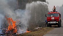 Лесной пожар продолжает полыхать во Владимирской области