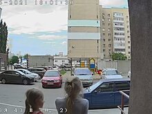 Сотрудники МБУ «Дорстрой» пообещали отловить собак после нападения на детей в Саратове