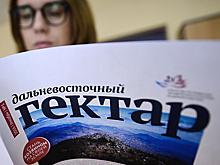 Бренд "Дальневосточный гектар" намерены разработать до конца года