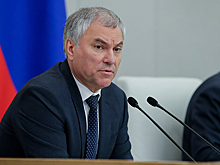 Володин предложил взять на контроль ФНС лайф-коучей, а собранные с них налоги направлять на ремонт школ и поддержку солдат