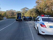 Трое малолетних детей пострадали в страшном ДТП в Приморье
