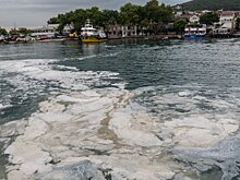 Взрывной рост фитопланктона угрожает Мраморному и Черному морям