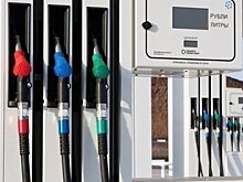 СМИ: Минэнерго предложило запретить на три месяца экспорт АИ-92 и АИ-95