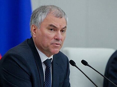 Володин попросил МВД не злоупотреблять проверками бизнеса