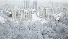 Стало известно о погоде в Подмосковье в выходные