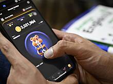 Россиян предупредили о мошенничестве с игрой Hamster Kombat