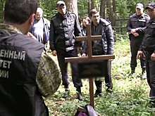 Криминалист Александр Звягинцев - о том, как люди доверяют мошенникам и гибнут