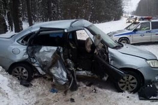 Под Ковровом лоб в лоб столкнулись два автомобиля