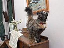 В Орском краеведческом музее появился необычный «сотрудник»