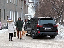 «Я паркуюсь как чудак»: Lexus ААА — людям и собакам проход воспрещен